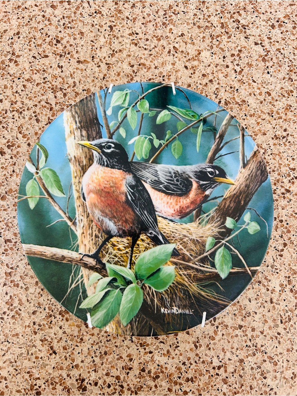 The Robin 1986 Vintage Collectors Plate